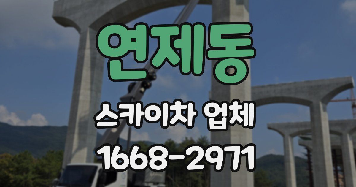 연제동 스카이차 업체