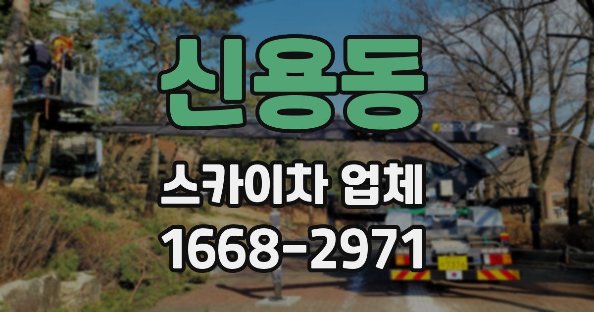 신용동 스카이차 업체