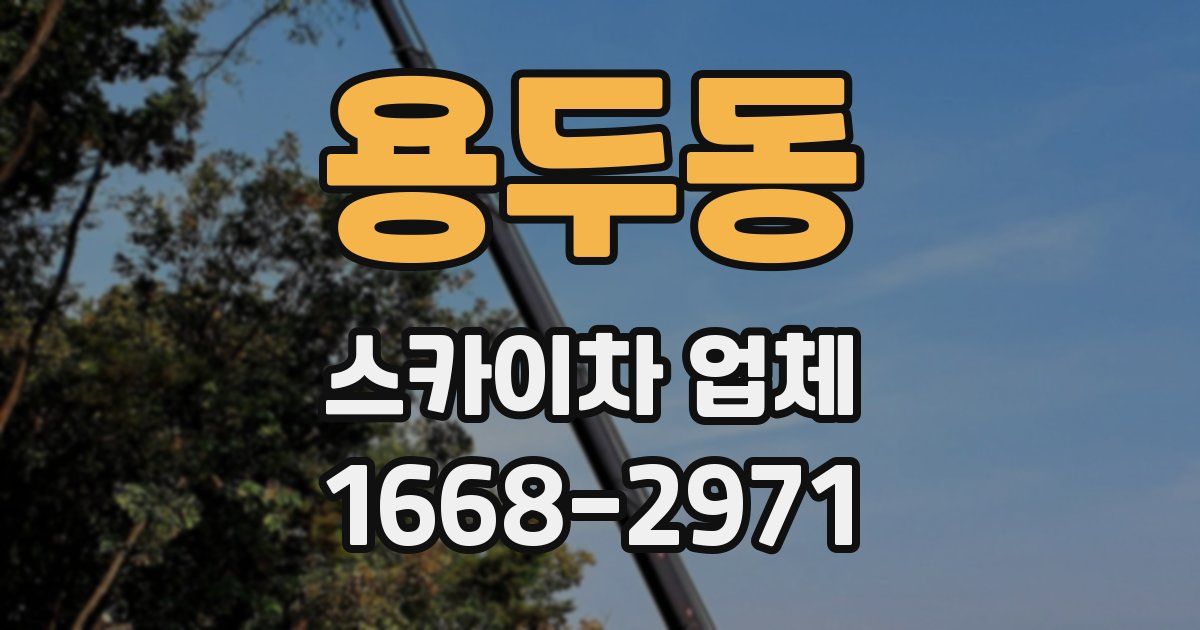 용두동 스카이차 업체
