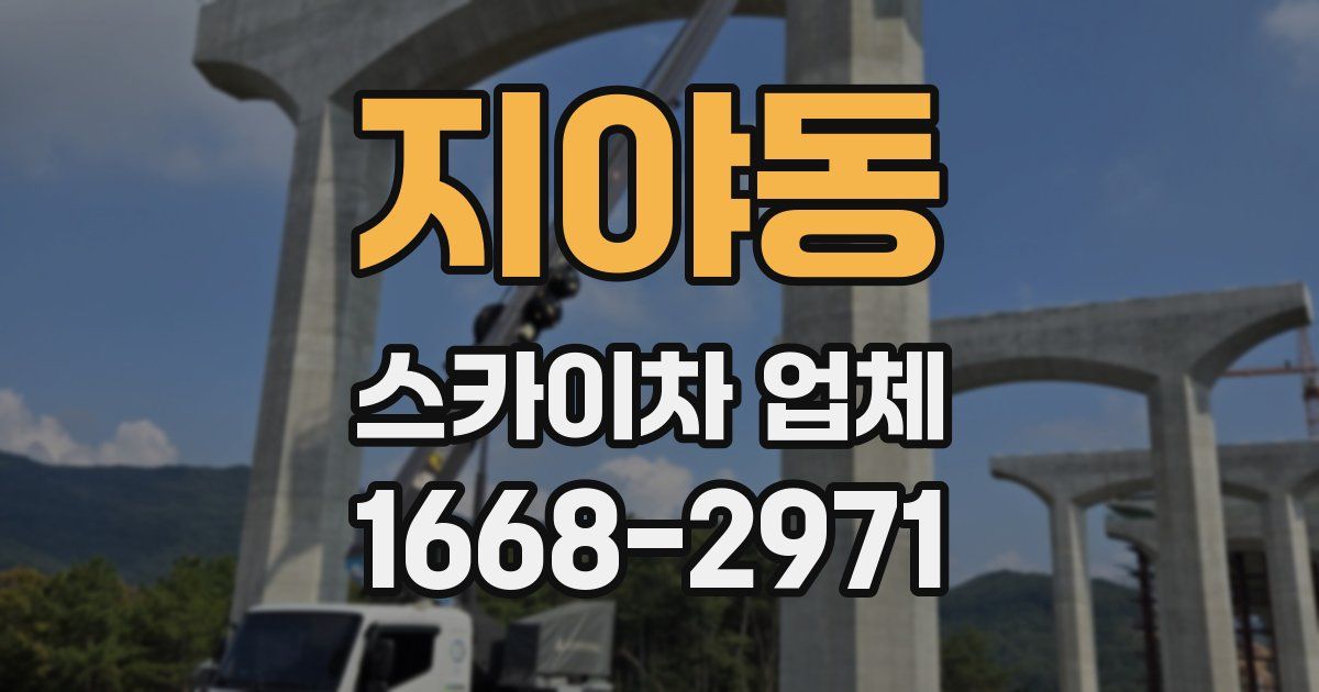 지야동 스카이차 업체
