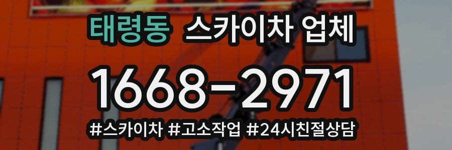 태령동 스카이차 업체