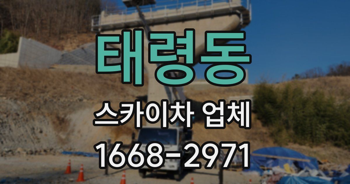 태령동 스카이차 업체