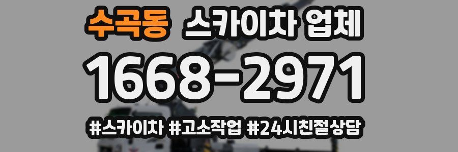 수곡동 스카이차 업체