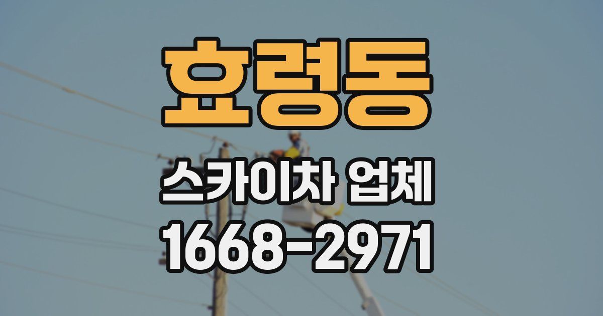 효령동 스카이차 업체