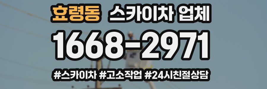 효령동 스카이차 업체