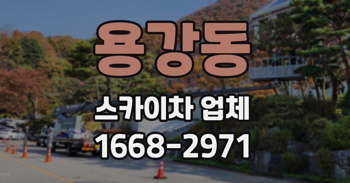 용강동 스카이차 업체