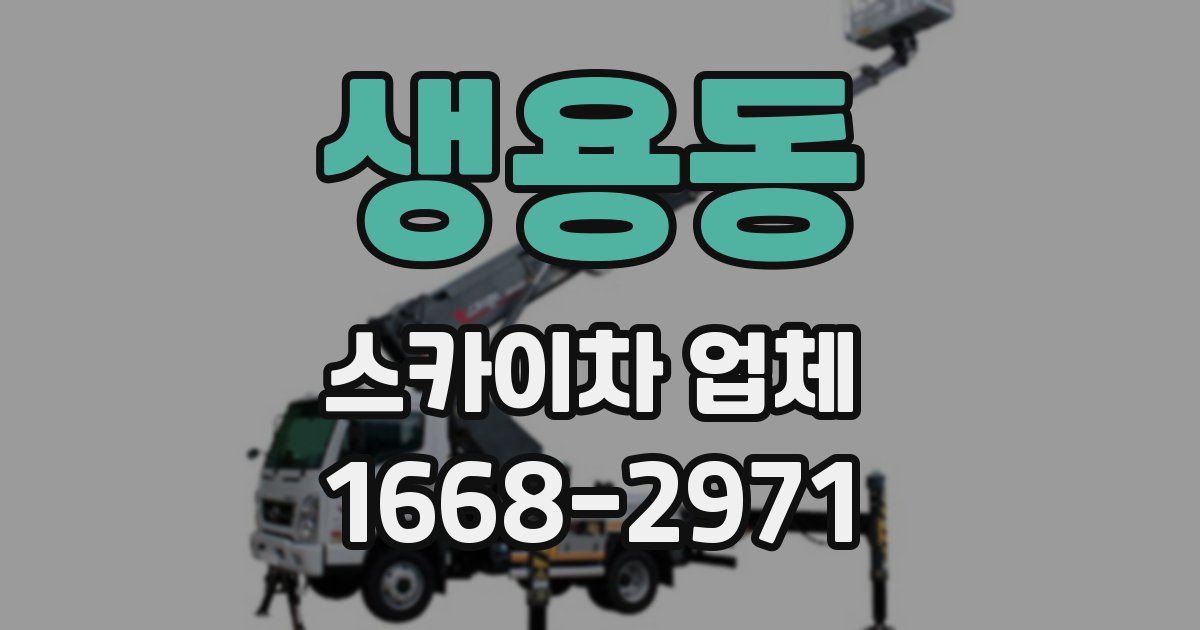 생용동 스카이차 업체