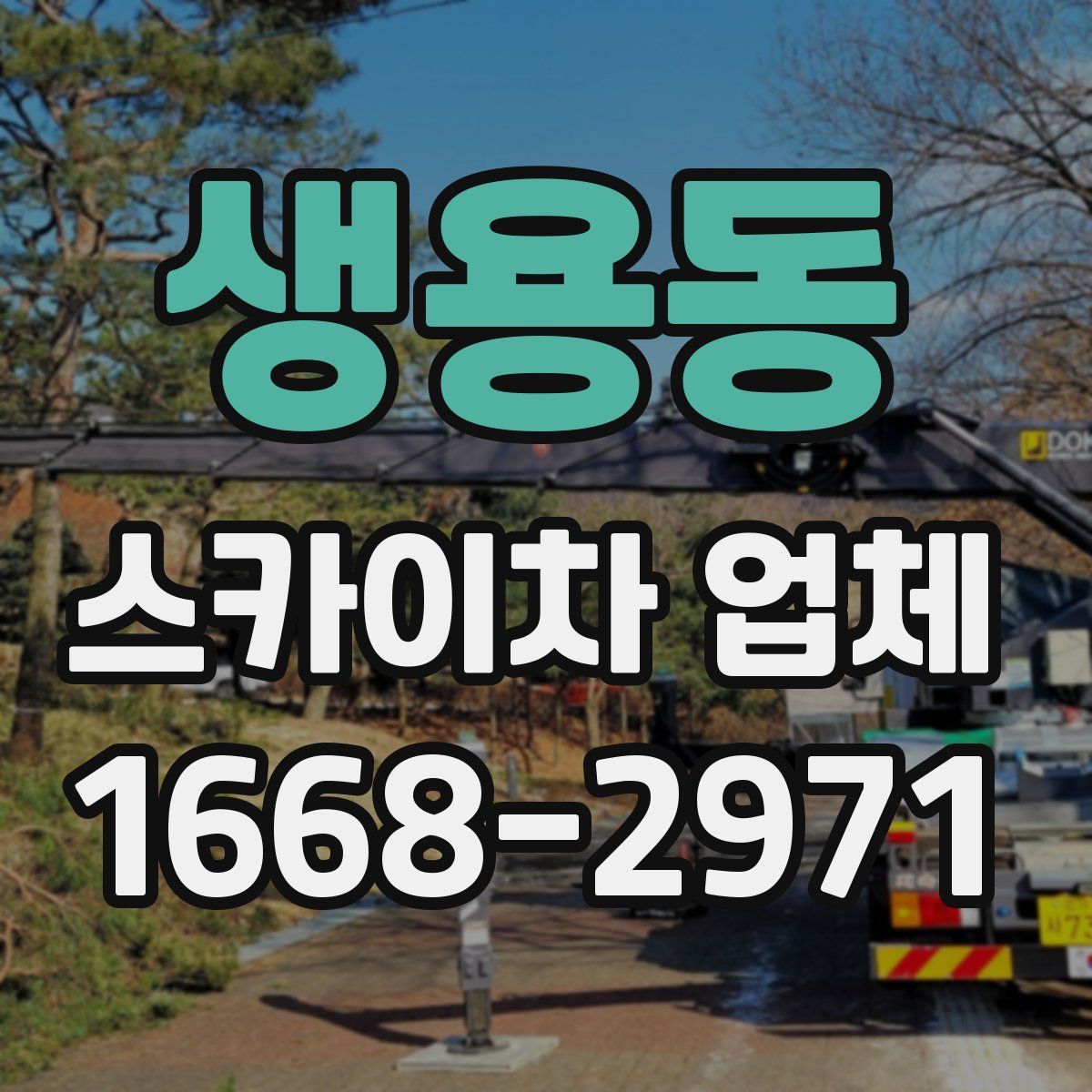 생용동 스카이차 업체