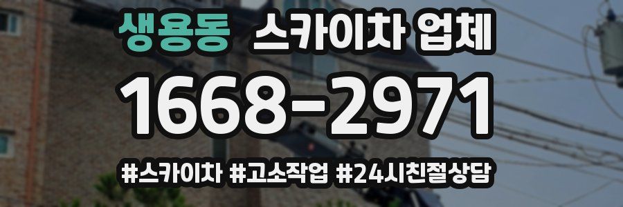 생용동 스카이차 업체