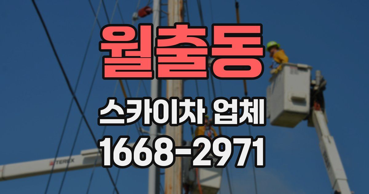 월출동 스카이차 업체