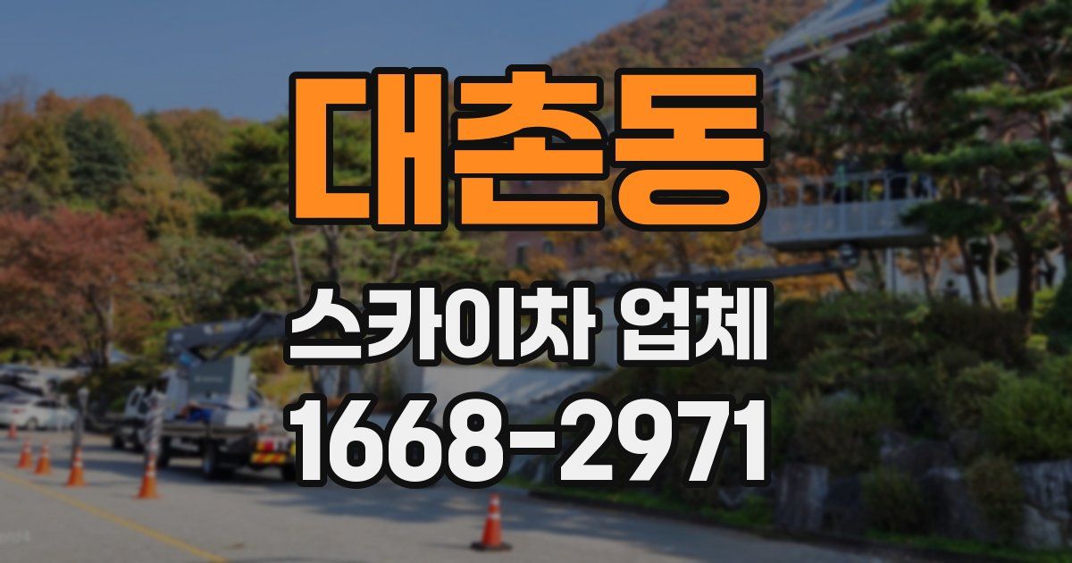 대촌동 스카이차 업체