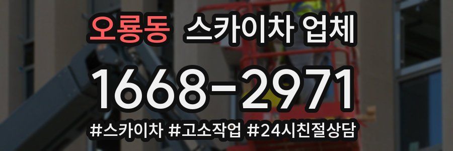 오룡동 스카이차 업체