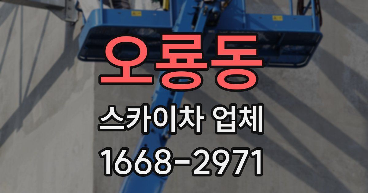 오룡동 스카이차 업체