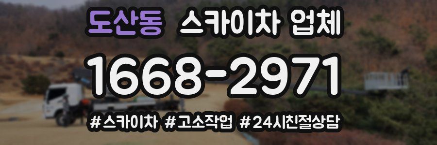 도산동 스카이차 업체