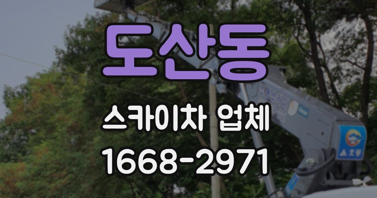 도산동 스카이차 업체