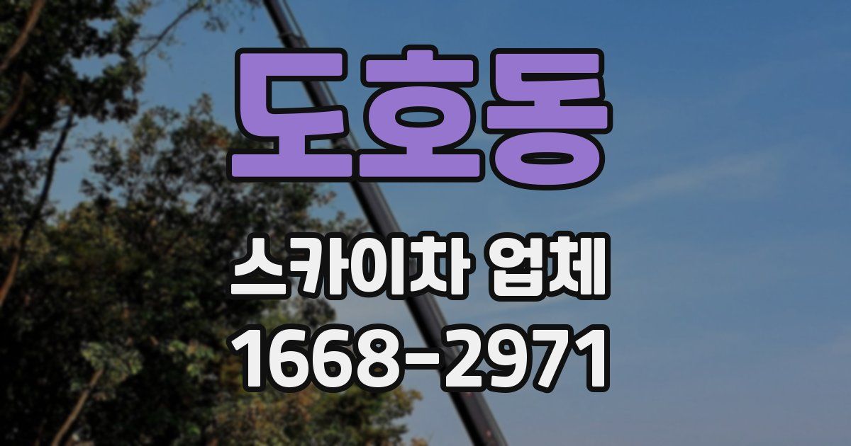 도호동 스카이차 업체