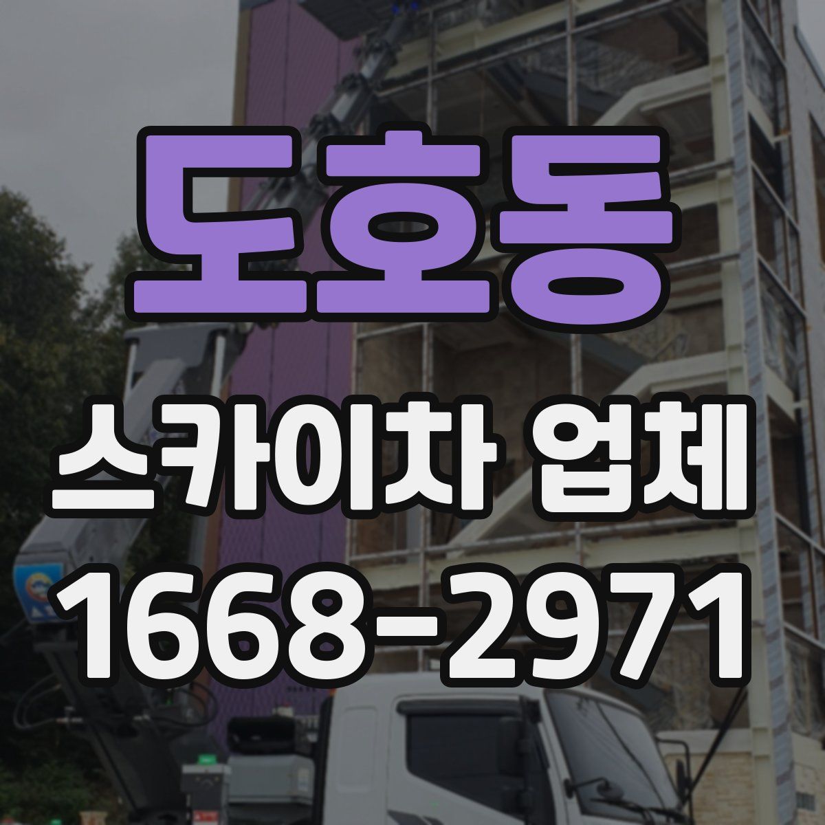 도호동 스카이차 업체