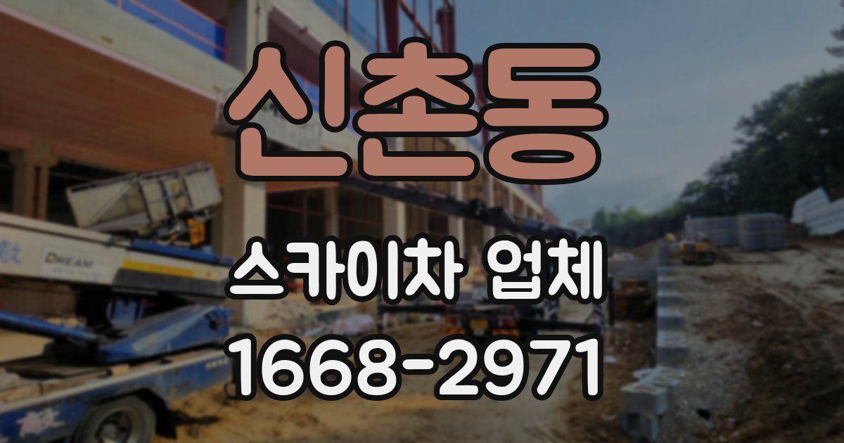 신촌동 스카이차 업체