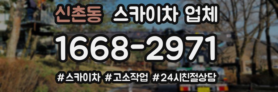 신촌동 스카이차 업체
