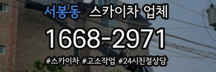 서봉동 스카이차 업체