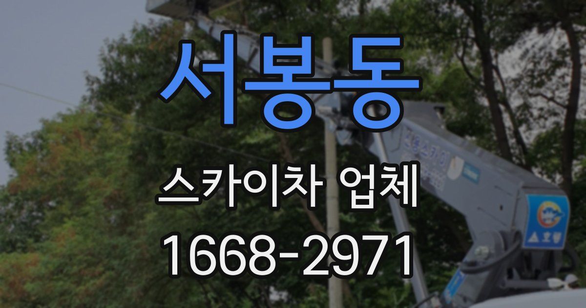 서봉동 스카이차 업체