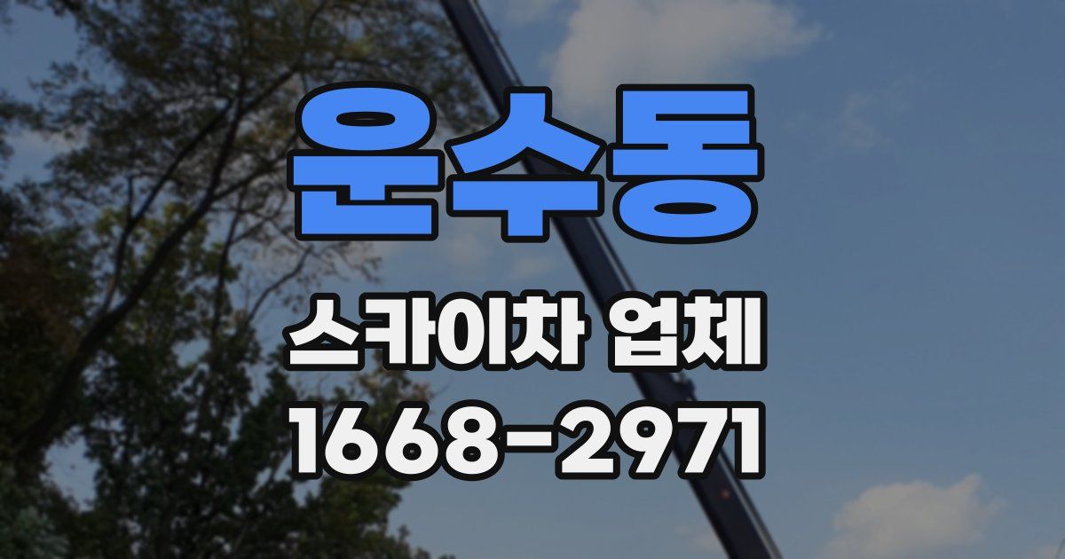 운수동 스카이차 업체