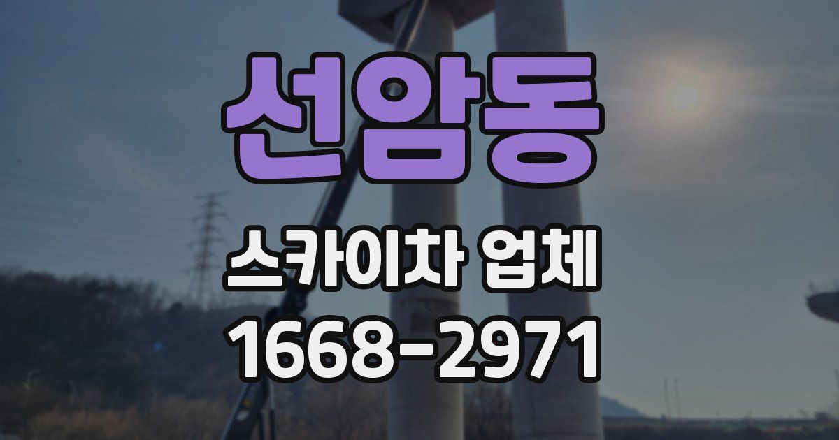 선암동 스카이차 업체