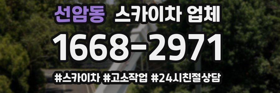 선암동 스카이차 업체