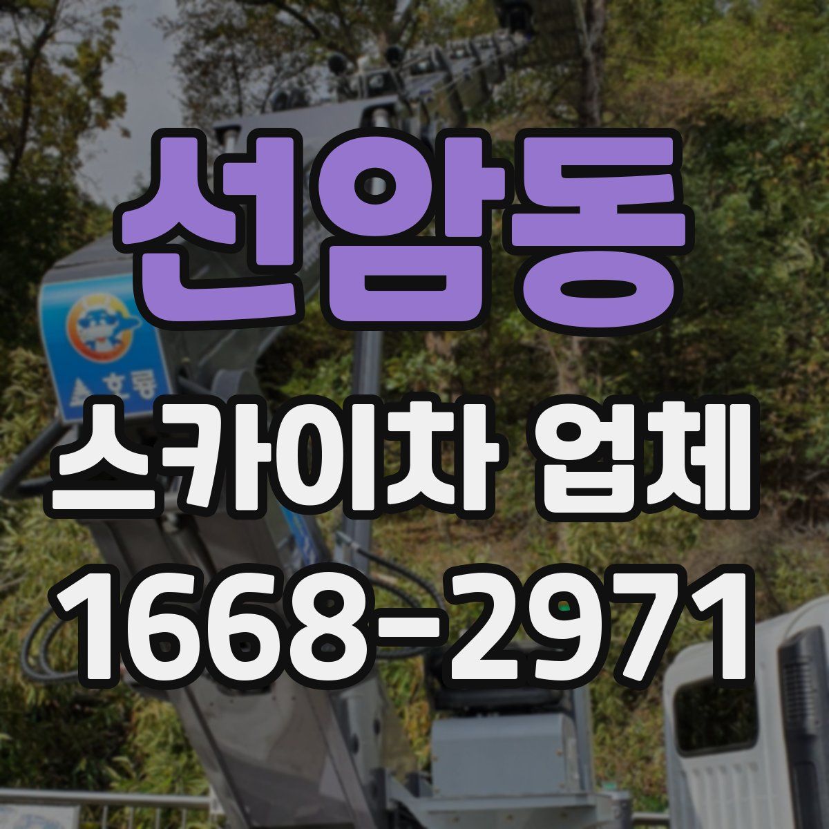 선암동 스카이차 업체