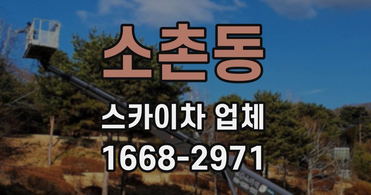 소촌동 스카이차 업체