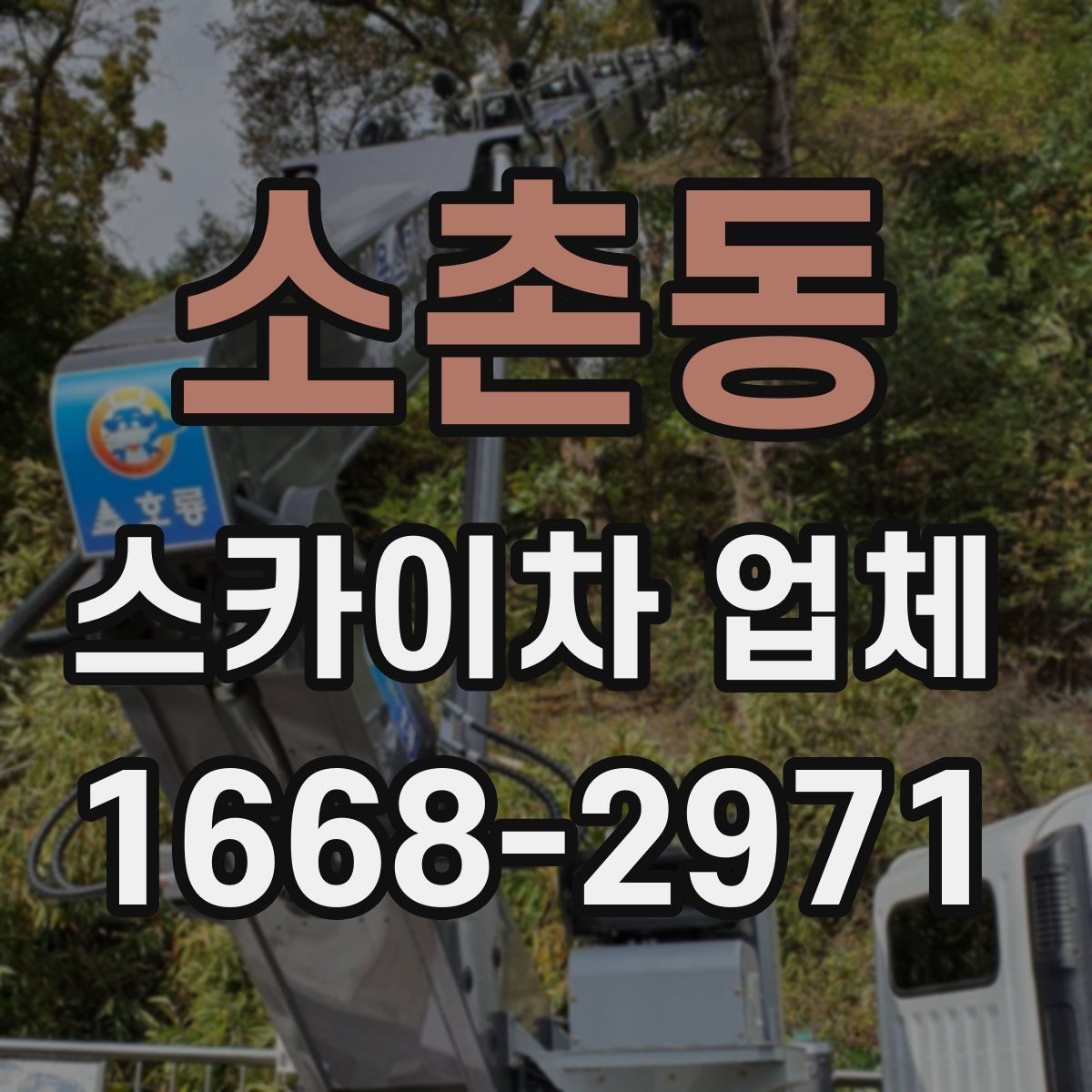 소촌동 스카이차 업체