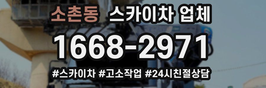 소촌동 스카이차 업체