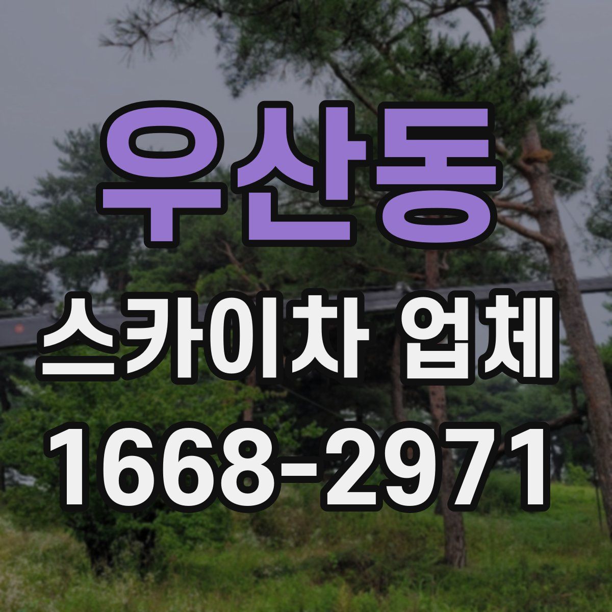 우산동 스카이차 업체