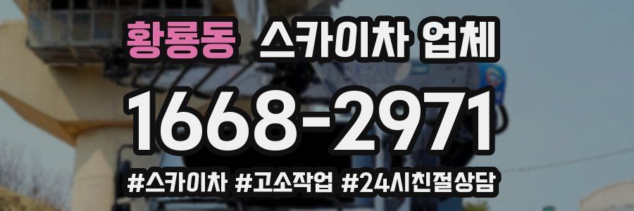 황룡동 스카이차 업체