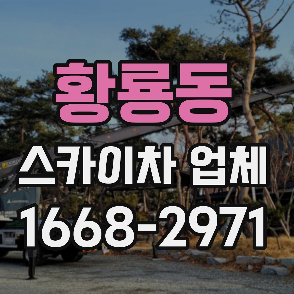 황룡동 스카이차 업체