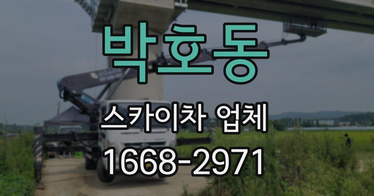 박호동 스카이차 업체