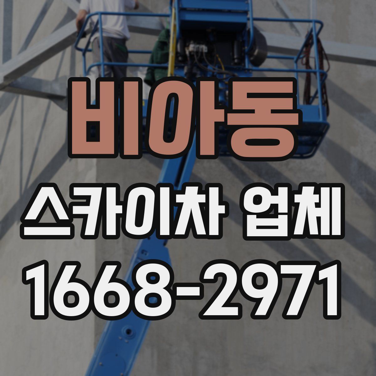 비아동 스카이차 업체