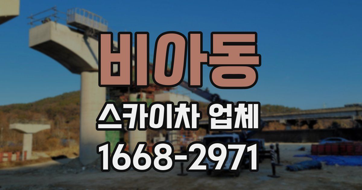 비아동 스카이차 업체