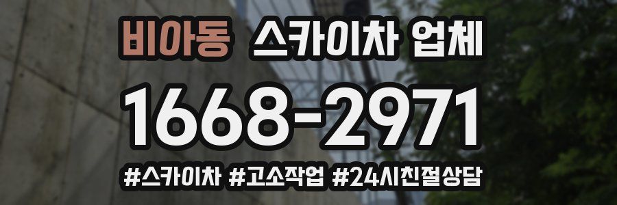 비아동 스카이차 업체