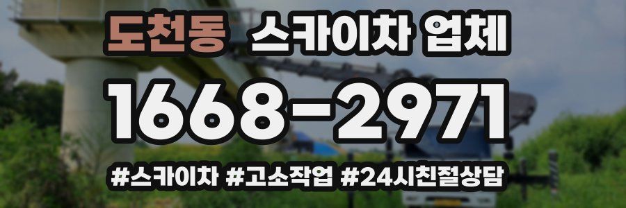 도천동 스카이차 업체