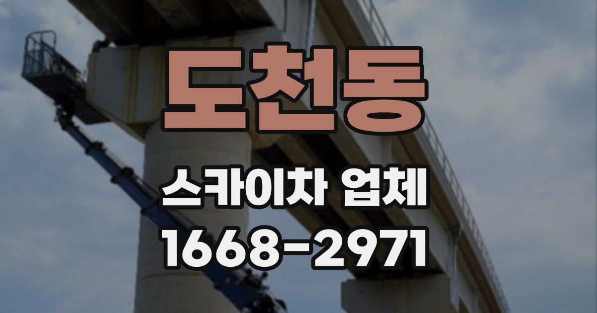 도천동 스카이차 업체