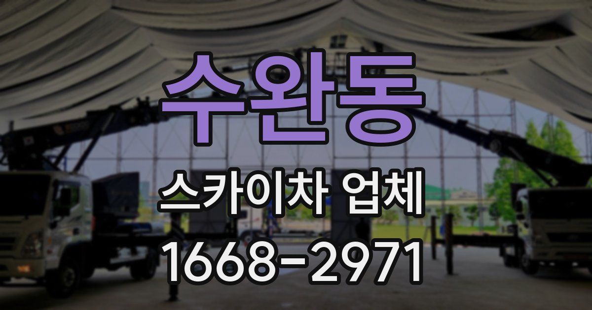 수완동 스카이차 업체