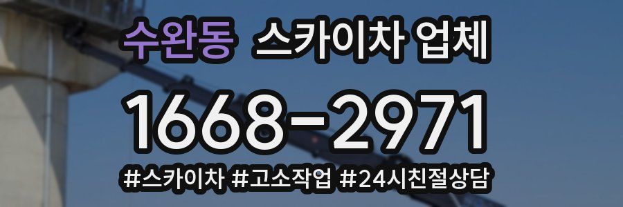 수완동 스카이차 업체