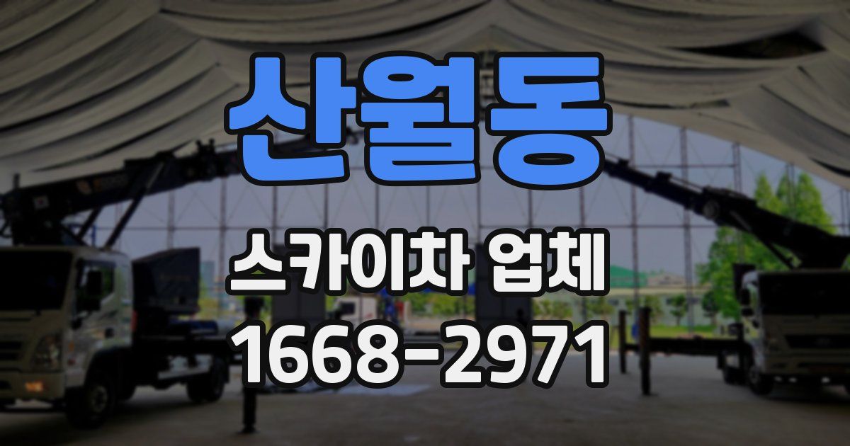산월동 스카이차 업체