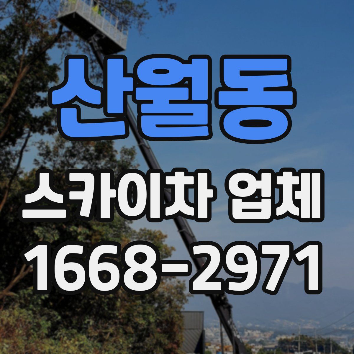 산월동 스카이차 업체