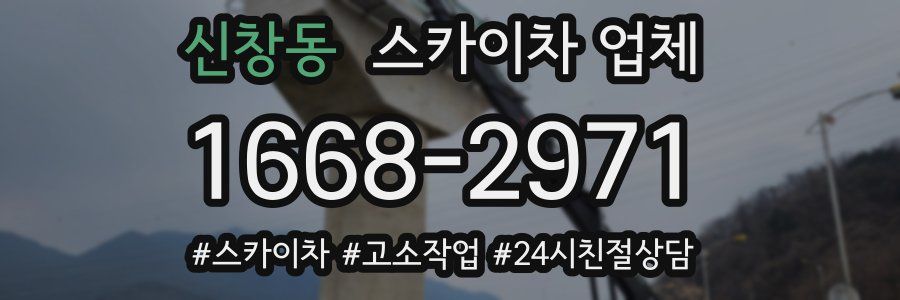 신창동 스카이차 업체