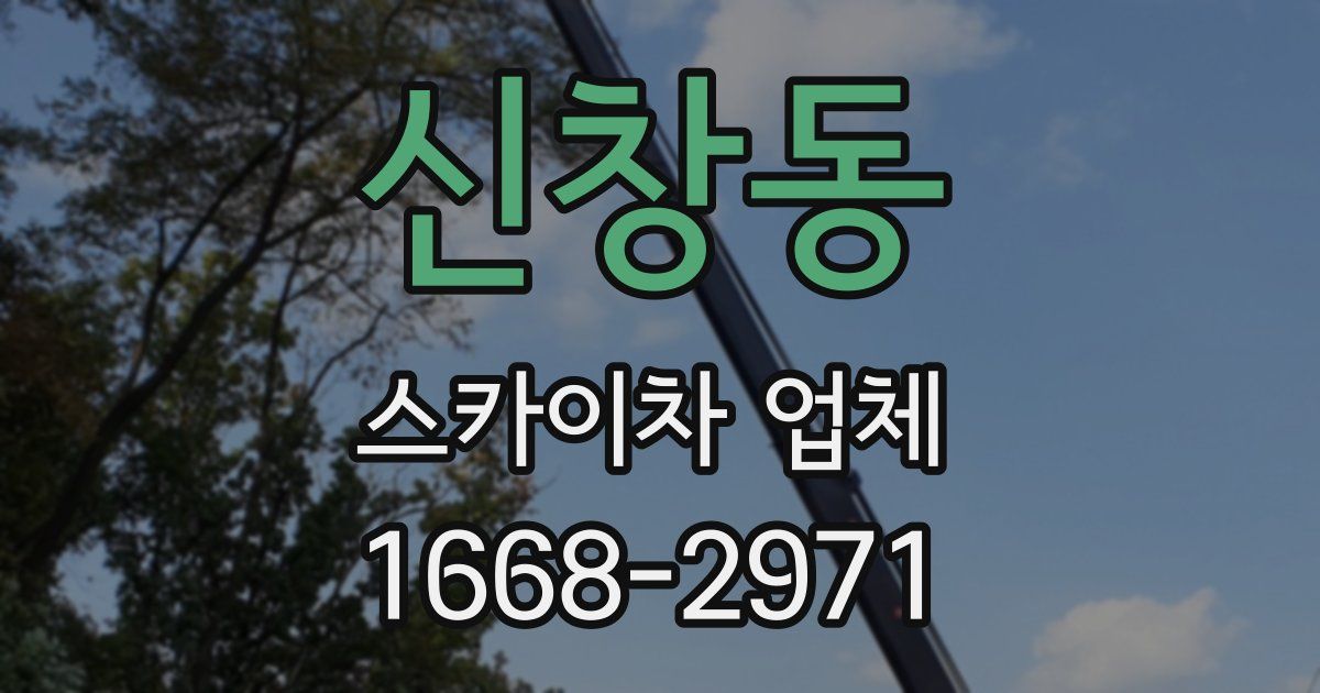 신창동 스카이차 업체