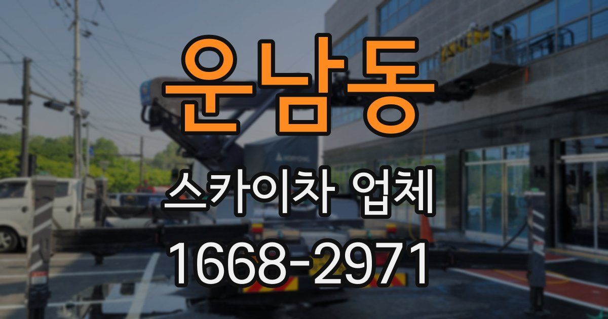 운남동 스카이차 업체