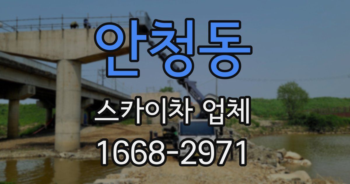 안청동 스카이차 업체