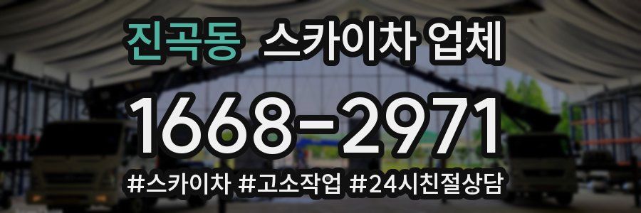 진곡동 스카이차 업체